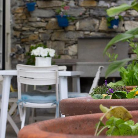 Casa Gatto Miao Apartment Rapallo Ngoại thất bức ảnh